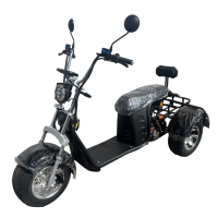 Электроскутер Maikaolin R11 Дабл Харлей